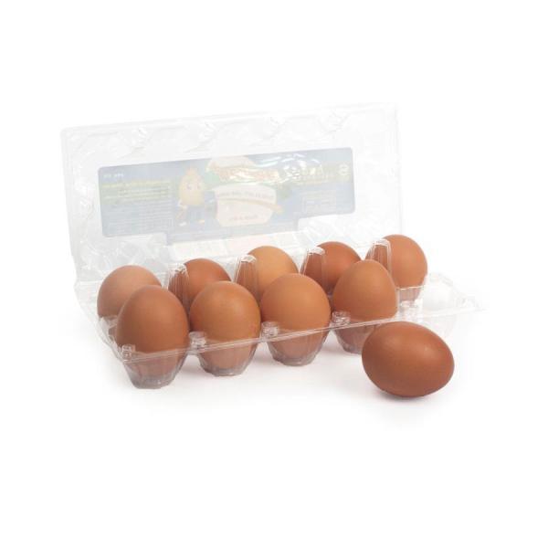 Trứng Gà Công Nghiệp Vĩ 10 Trứng